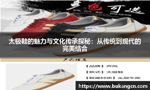 太极鞋的魅力与文化传承探秘：从传统到现代的完美结合