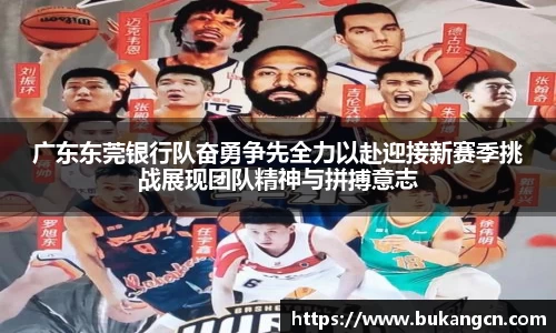 球速体育在线登录
