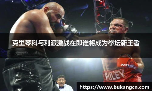 克里琴科与利派激战在即谁将成为拳坛新王者
