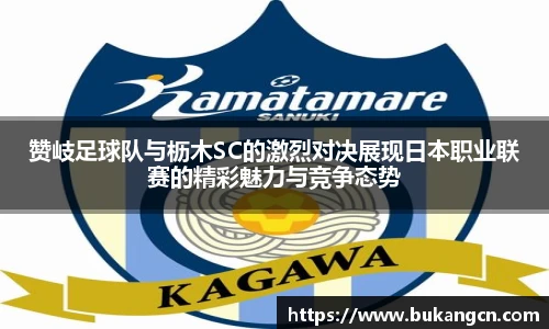 球速体育在线登录